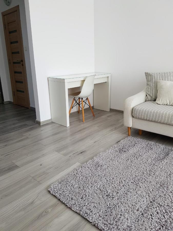 Alexa Apartament Târgu-Mureş エクステリア 写真