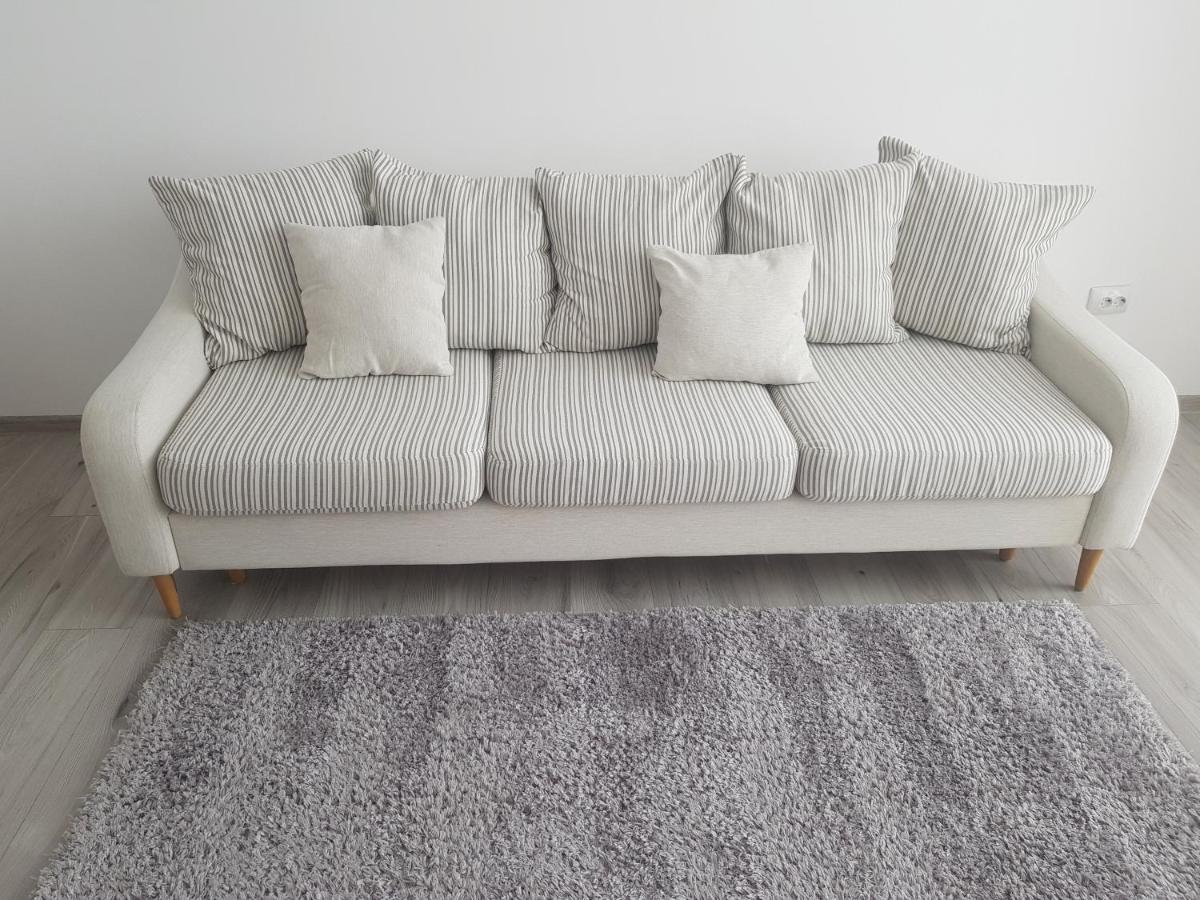 Alexa Apartament Târgu-Mureş エクステリア 写真
