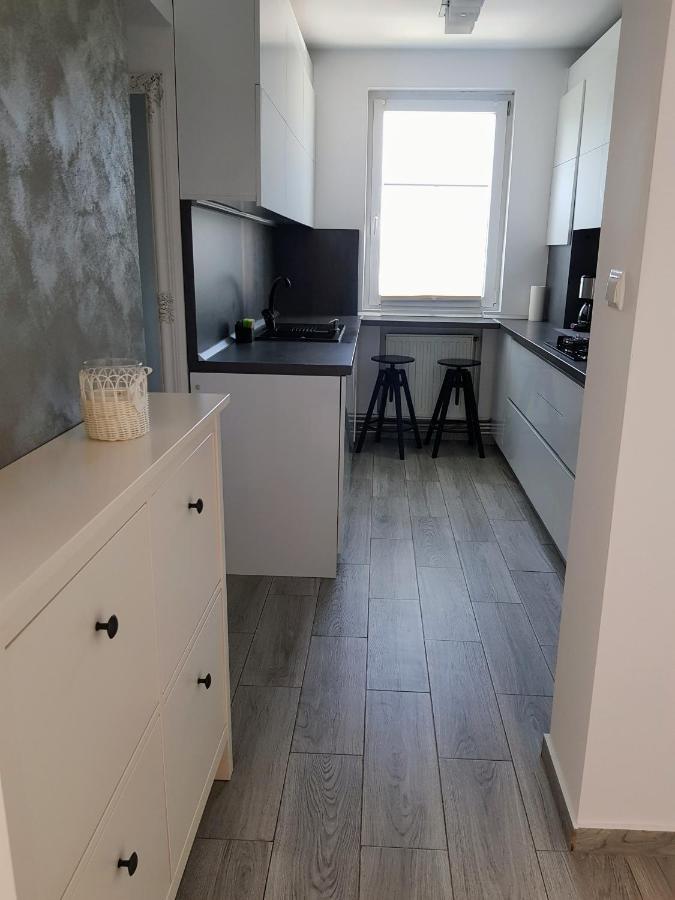 Alexa Apartament Târgu-Mureş エクステリア 写真