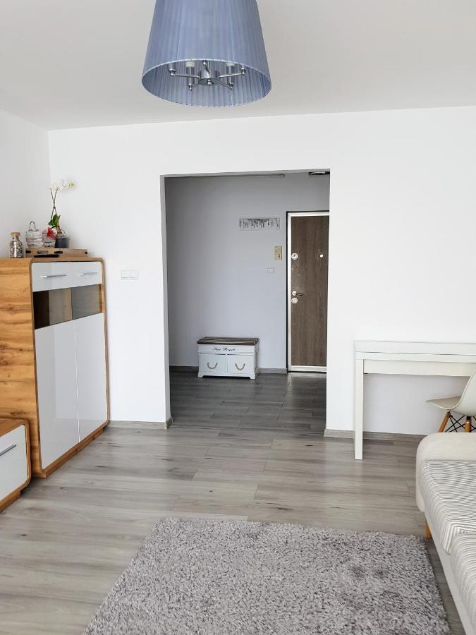 Alexa Apartament Târgu-Mureş エクステリア 写真