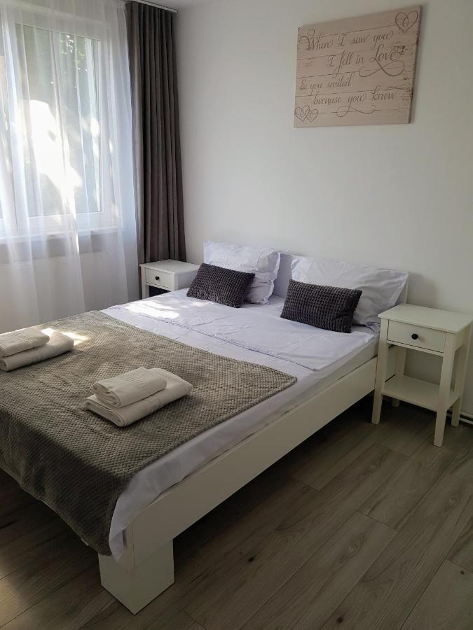 Alexa Apartament Târgu-Mureş エクステリア 写真